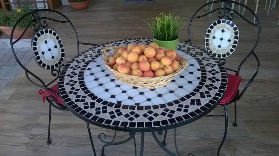 Il Casale Di Rodolfo Bed & Breakfast Termoli Ngoại thất bức ảnh